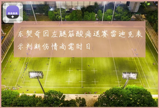 东契奇因左腿筋酸痛退赛雷迪克表示判断伤情尚需时日